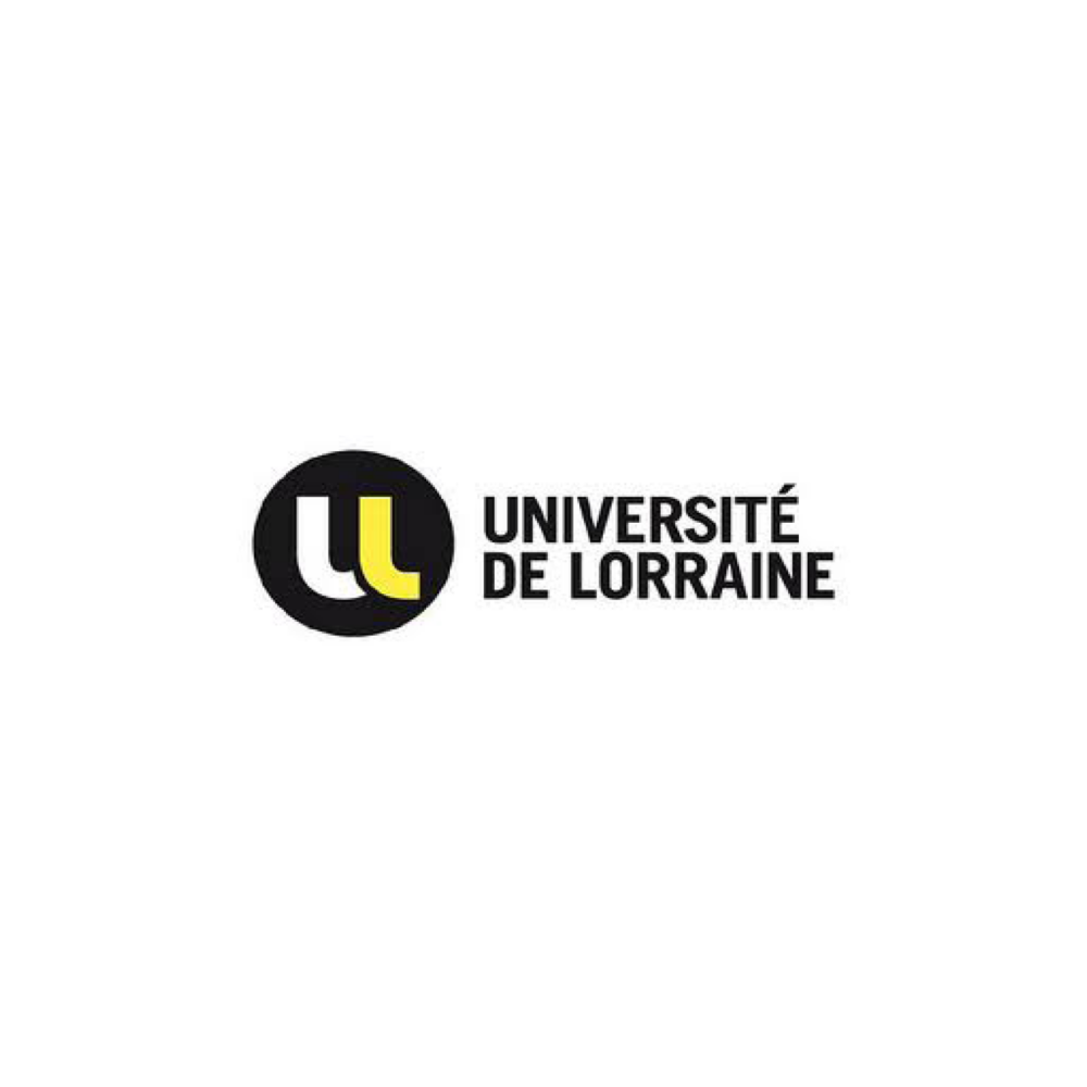 Universit De Lorraine IREX Universit De Lorraine IREX